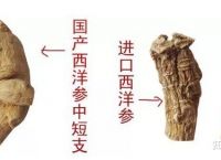 2023年西洋参十大品牌推荐：西洋参哪个牌子值得买？适合送长辈、送父母的西洋参品牌
