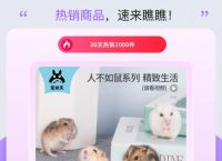 在哪买<strong>仓鼠</strong>？
