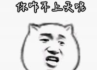 上海小伙专柜买正版LV包包，然后拿“高仿包”去退货，结果悲剧了
