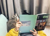 什么牌子的猫粮比较好呢？