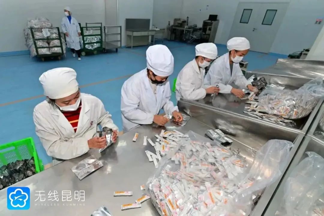 昆明中药厂生产车间.jpg 昆明中药厂生产车间.jpg
