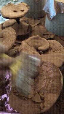 现在我真的连泥都不会了，也没有什么特长。.gif