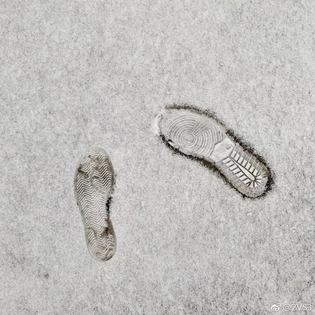 她第一次见到这么大的雪.jpg