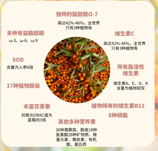 沙棘原浆带来的不仅是新奇的味觉体验，更是一份健康的滋补.png