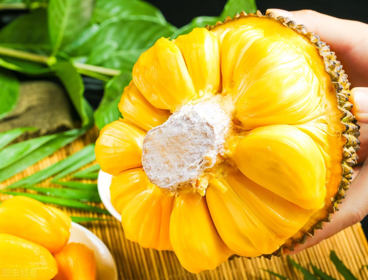 怎么挑菠萝蜜什么样的好？买大的还是买小的？