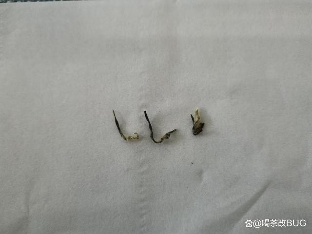 碧螺春的蜜蜂腿、满身毛、铜丝条.jpeg