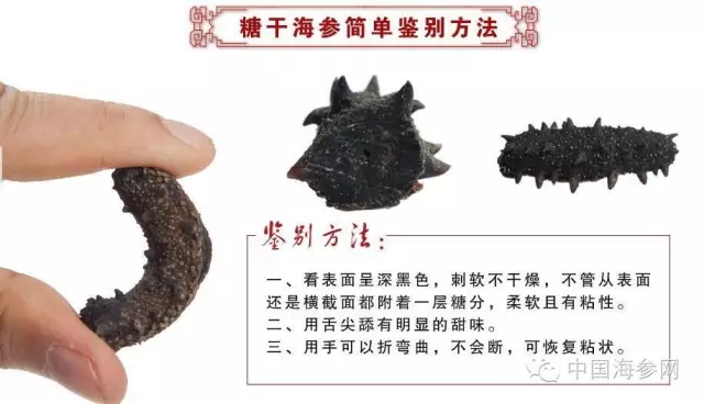 糖干海参鉴别方法.webp
