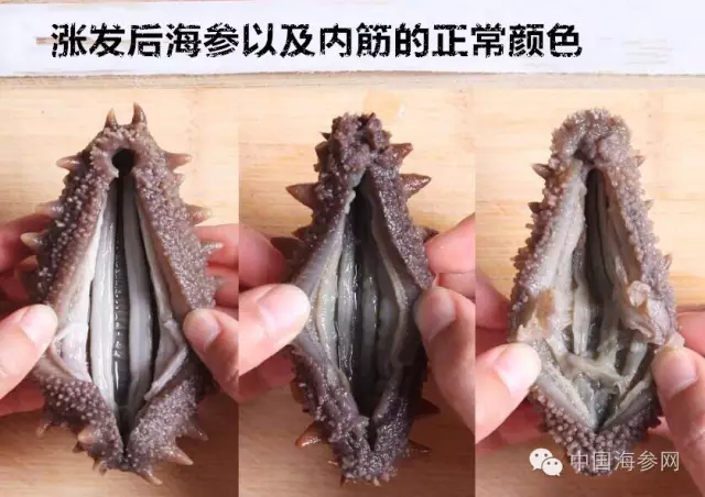 海参涨发后的任性比较好.webp