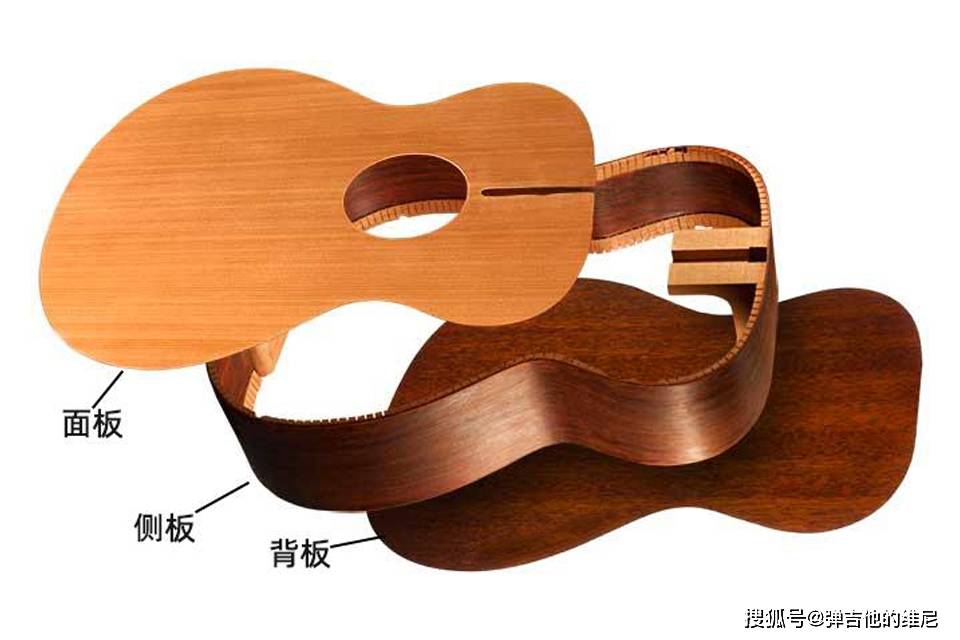 吉他构造.jpeg