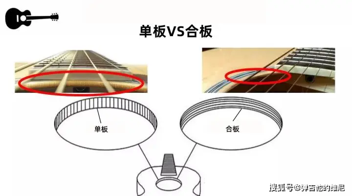 合板与单板优缺点.webp