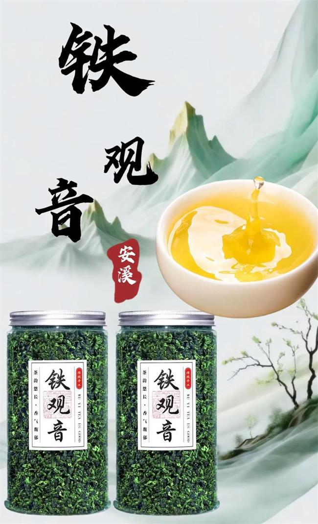 福建铁观音茶叶多少钱一斤？茶人告诉你3个影响因素