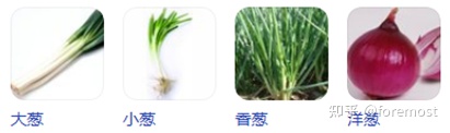 从洗菜,理菜,切菜,切辅料(蒜,生姜,辣椒,葱花,洋葱) 从洗菜,理菜,切菜,切辅料(蒜,生姜,辣椒,葱花,洋葱)