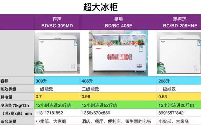 大容量的冰柜有哪些推荐.jpeg